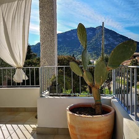 B&B Limone San Teodoro  Kültér fotó